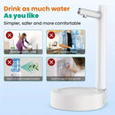 Distribuidor de Água Automático